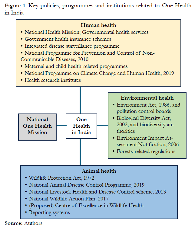 Key policies, programmes, and institutions related to One Health in India